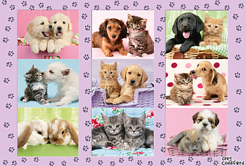 My Animal Friends, 100itar Schmidt