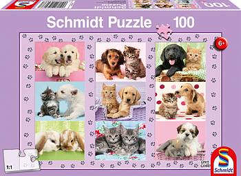 My Animal Friends, 100itar Schmidt