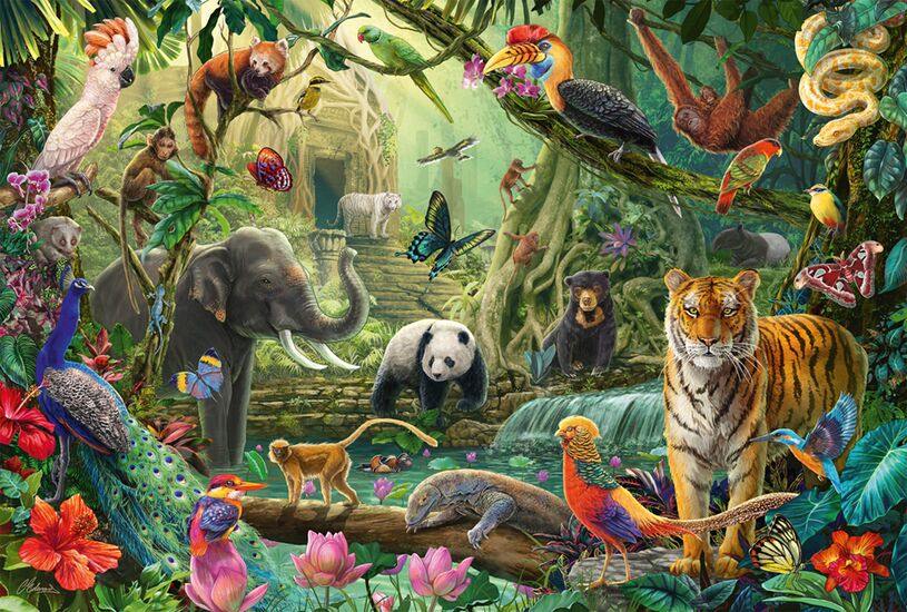 Colourful Jungle Wildlife, 100itar Schmidt