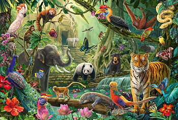 Colourful Jungle Wildlife, 100itar Schmidt