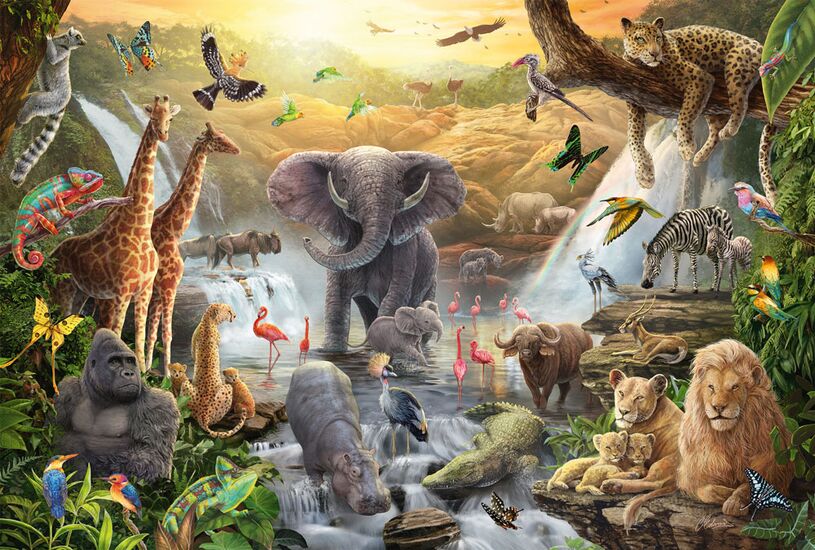 Animals in Africa, 60 Bitar Schmidt