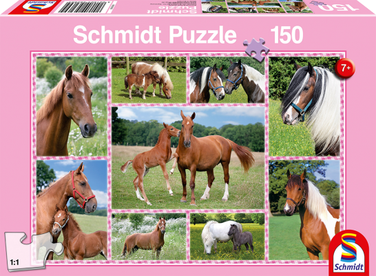 Beautiful Horses, 150 Bitar Schmidt - 2