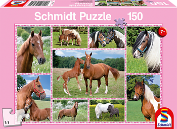 Beautiful Horses, 150 Bitar Schmidt