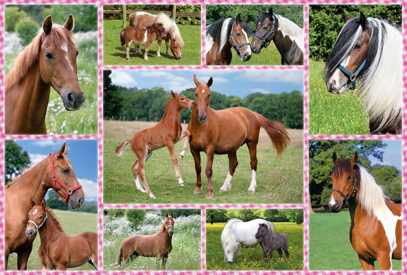 Beautiful Horses, 150 Bitar Schmidt