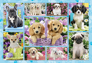 Puppies, 200 Bitar Schmidt