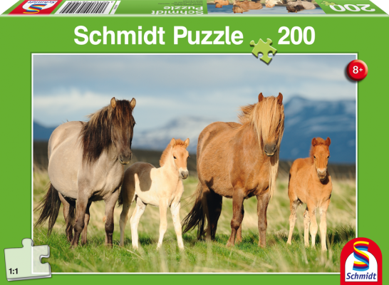 Family of Horses, 200 Bitar Schmidt - 2
