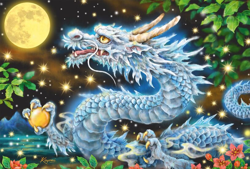 Dragon Adventure, 200 Bitar Schmidt