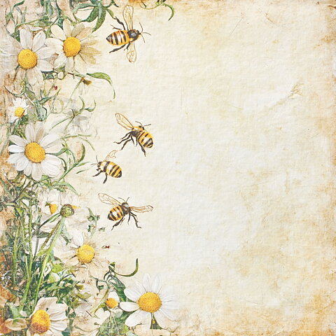 Papper Scrapbooking  Reprint - Summer Bee's   -  12x12 (30,5 x 30,5 cm)