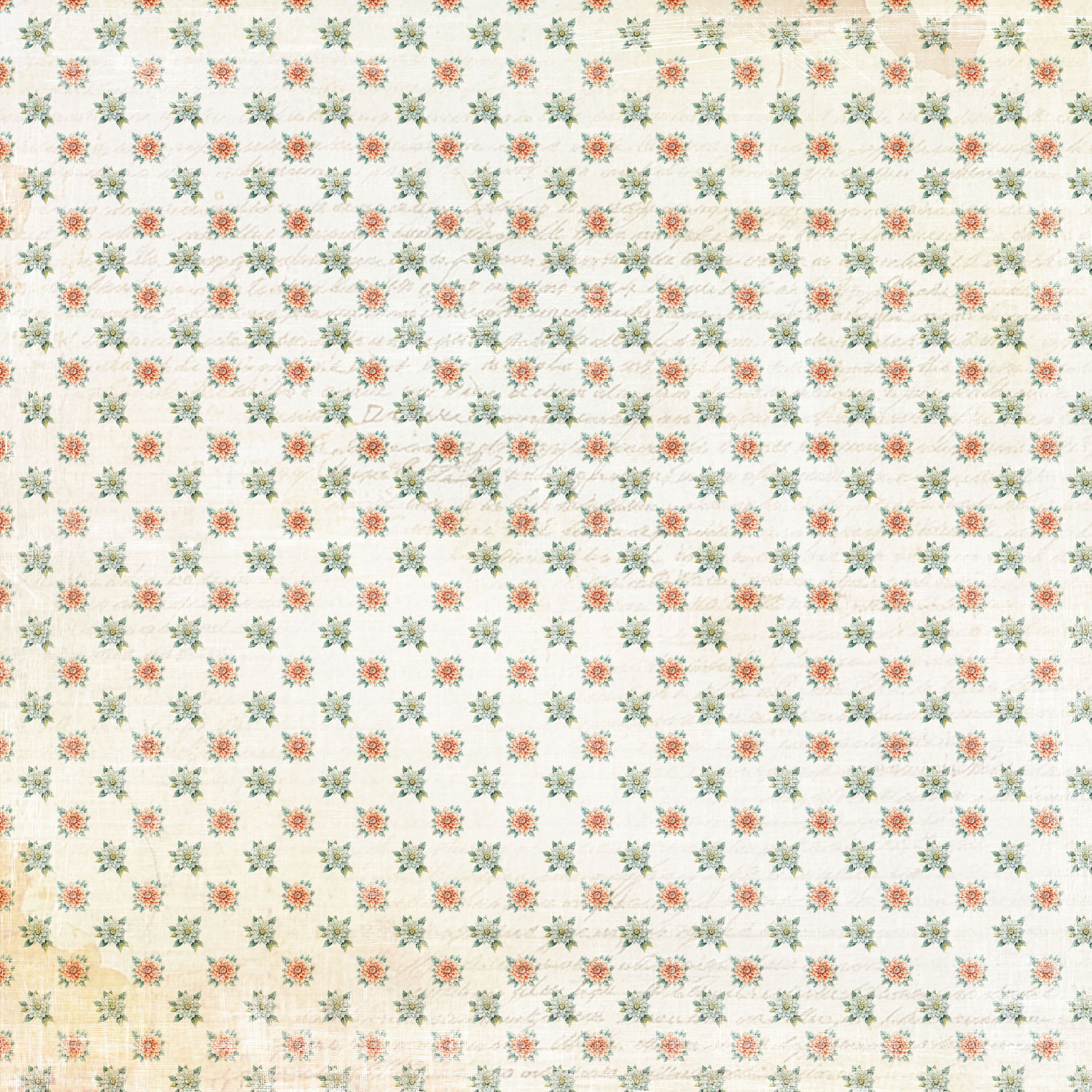 Paperpack Reprint -  The Beach  Collection -  8x8 - 5