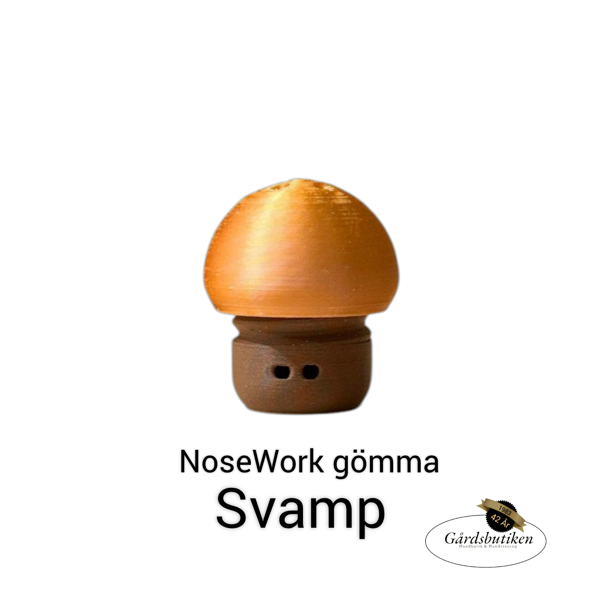 Nosework-gömma Svamp