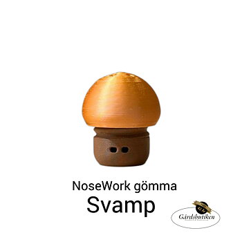 Nosework-gömma Svamp