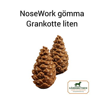 Nosework-gömma Kotte Stor