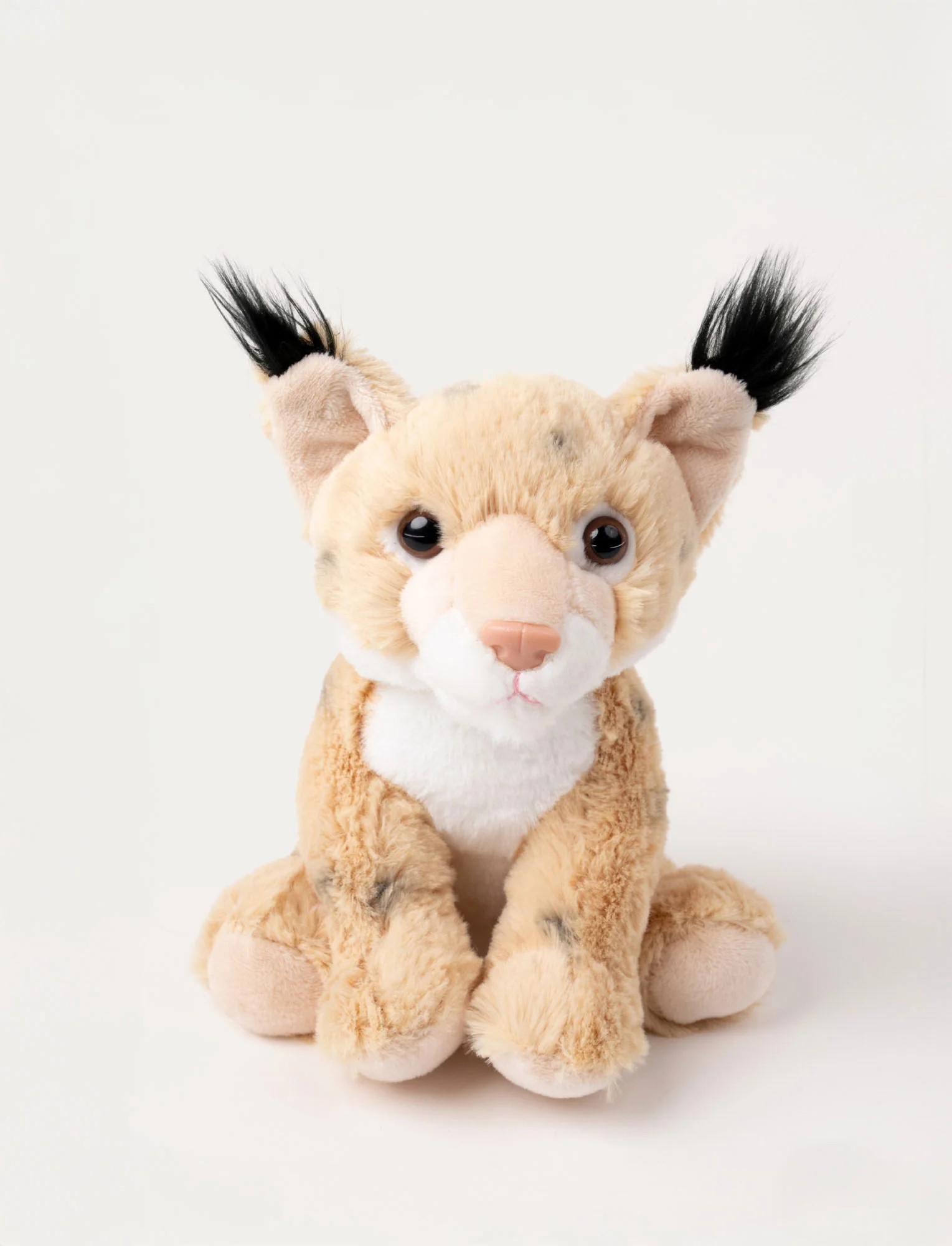 Teddy Forest, Lodjur