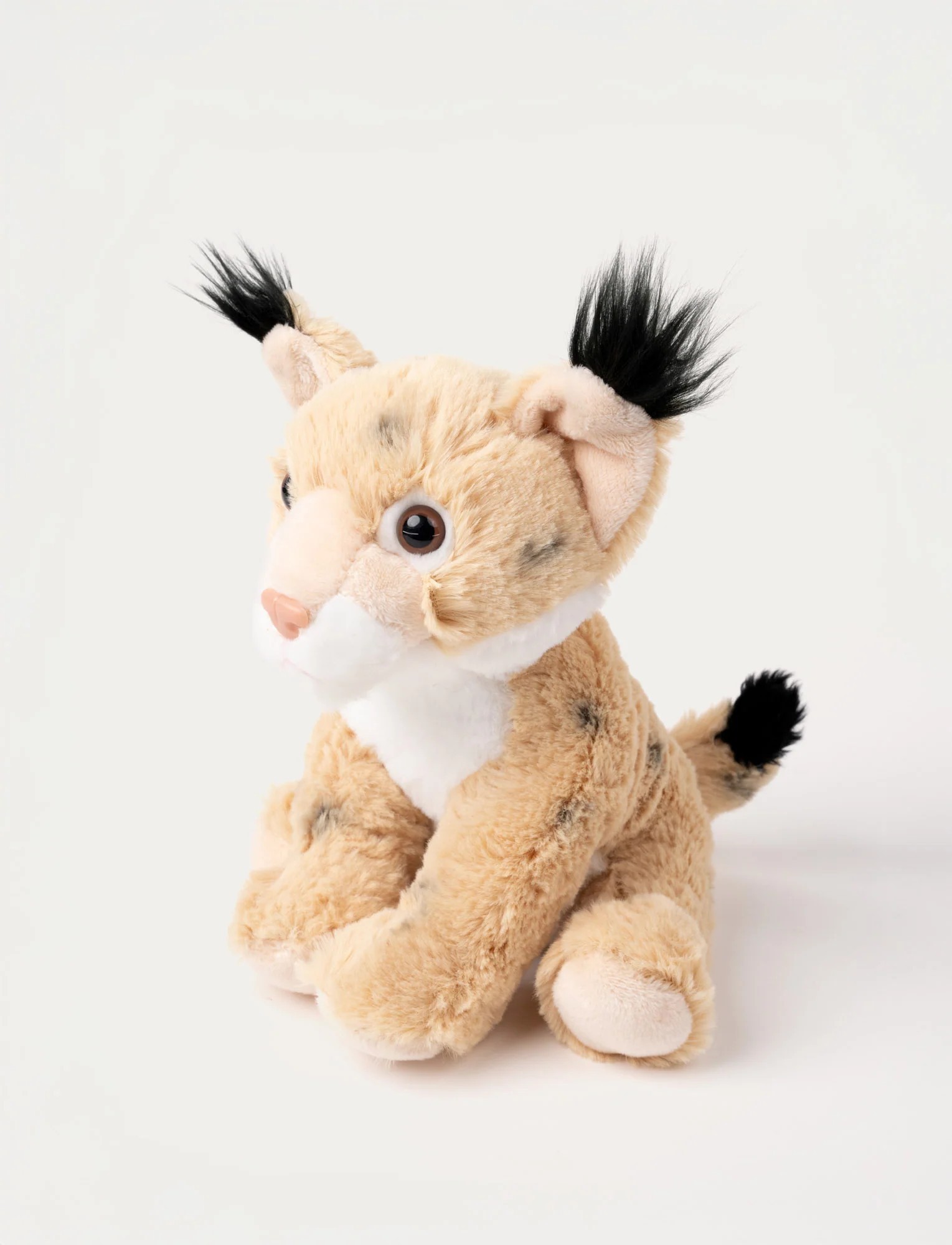 Teddy Forest, Lodjur - 2