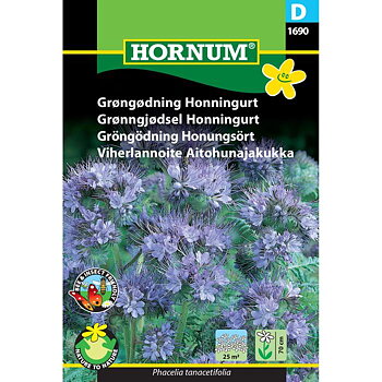 Honungsört / Honungsfacelia