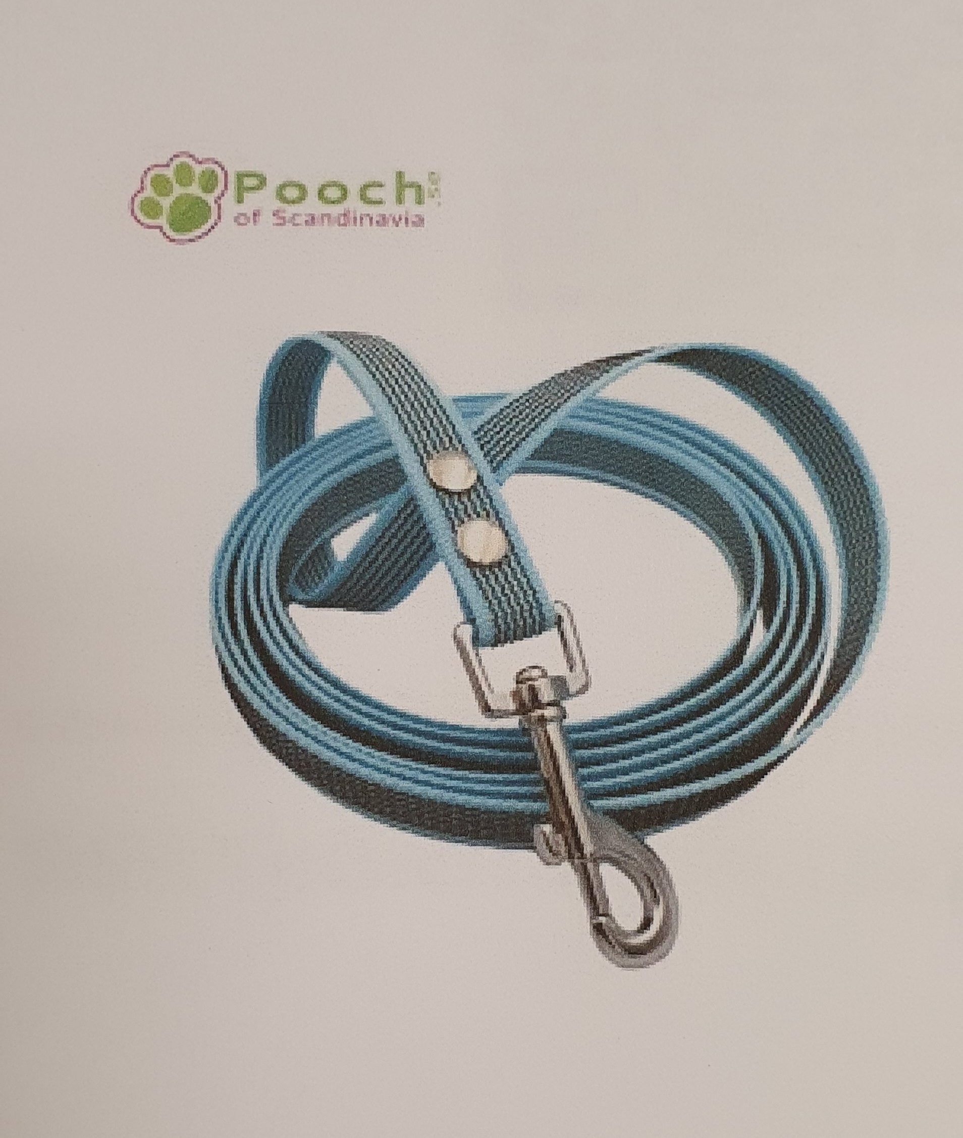 Nosework koppel 5m x 20mm Ljusblå
