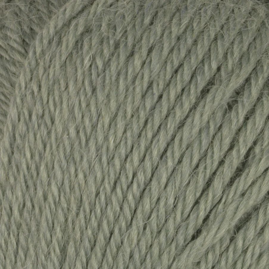 Alpaca Storm (22 m st 4) - 22