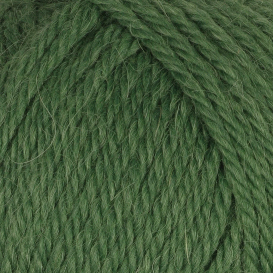 Alpaca Storm (22 m st 4) - 23