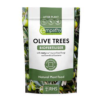 AFTER PLANT- OLIVE TREES  1Kg