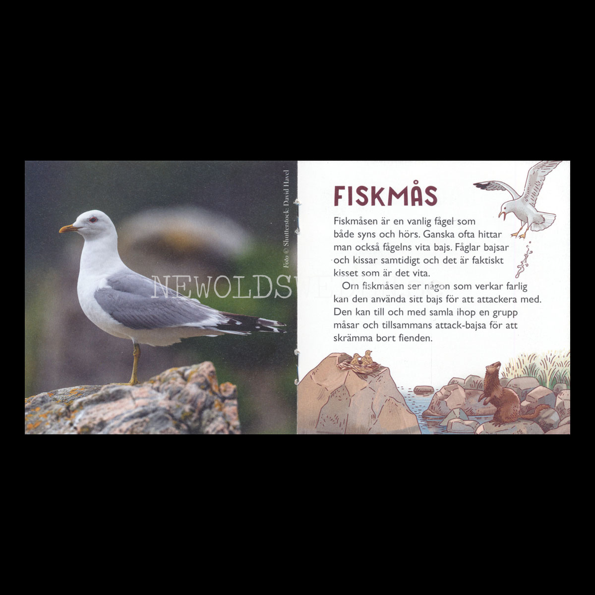 DJUREN BAJSAR -  VÄRLDSNATURFONDEN WWF 1842 - pixiböcker - P23 - 2