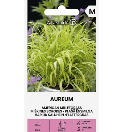 Hässlebrodd, Aureum