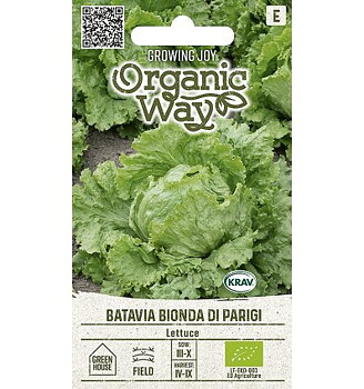 Sallad "Batavia Bionda di Parigi" Organic Way