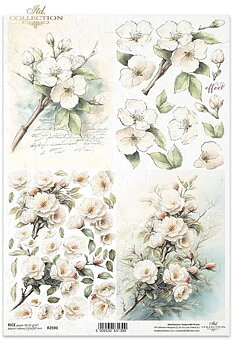 Blommor