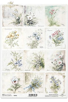Vår och sommar blommor