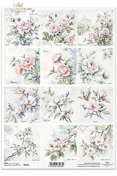 Pioner ,Magnolia, äppelblomm . m.m