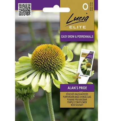 Rudbeckia Alans's Pride