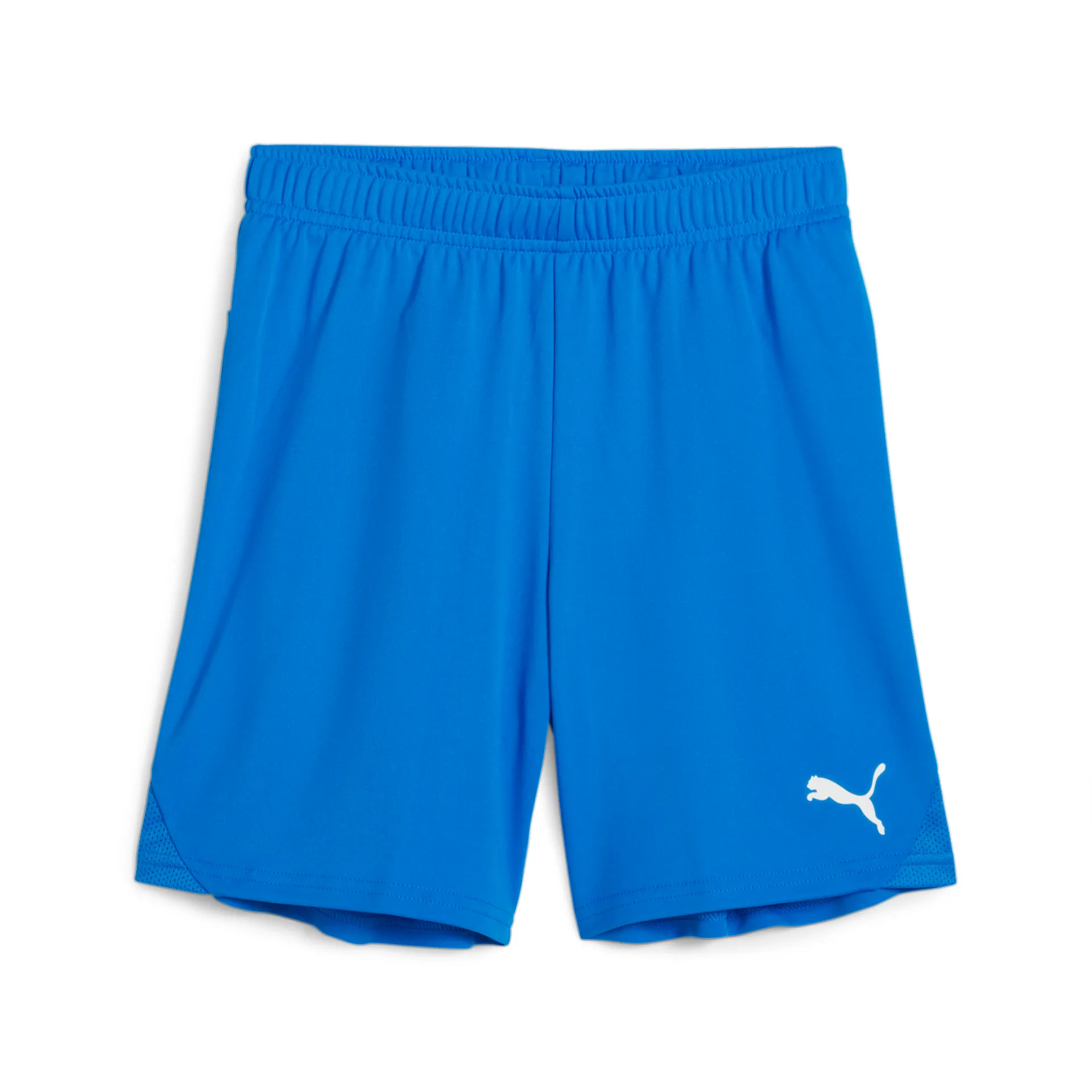 Puma Teamgoal Shorts Jr (Lycksele IF SIM)