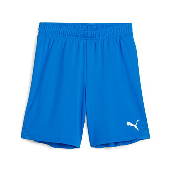 Puma Teamgoal Shorts Jr (Lycksele IF SIM)