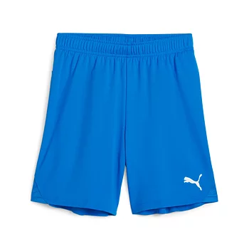 Puma Teamgoal Shorts (Lycksele IF SIM)