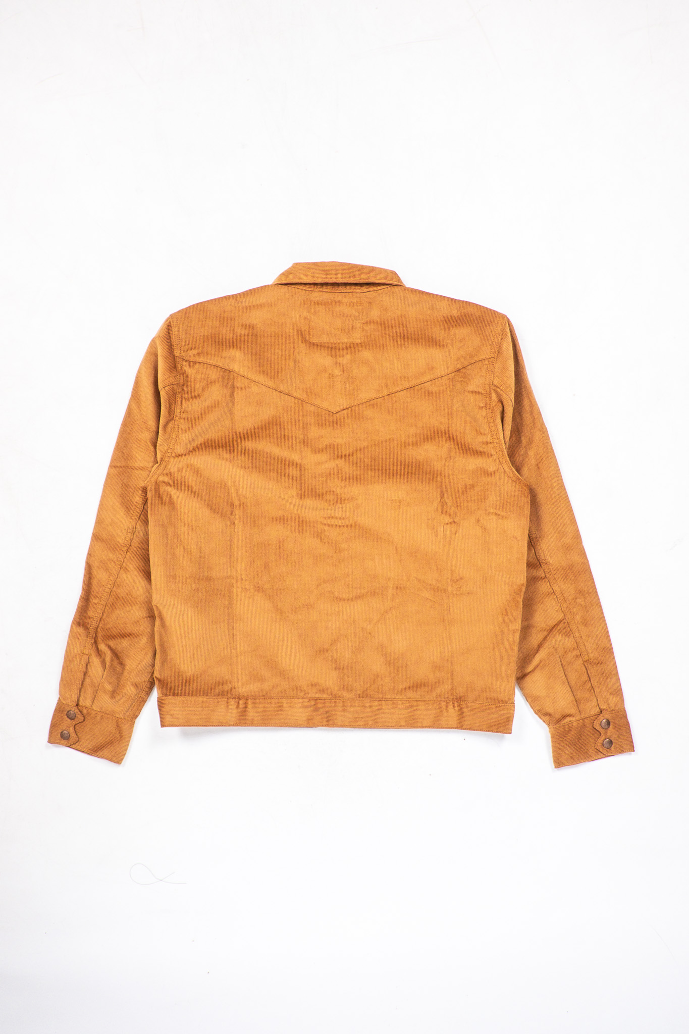 Indigofera - Cooper Corduroy 13W Gold - 8