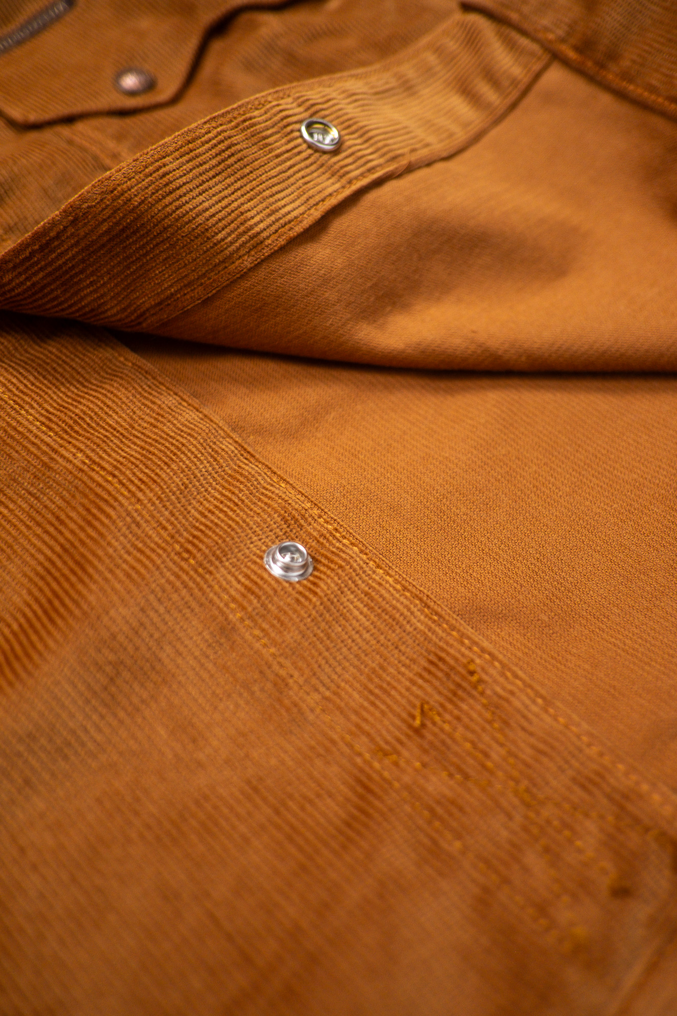 Indigofera - Cooper Corduroy 13W Gold - 4