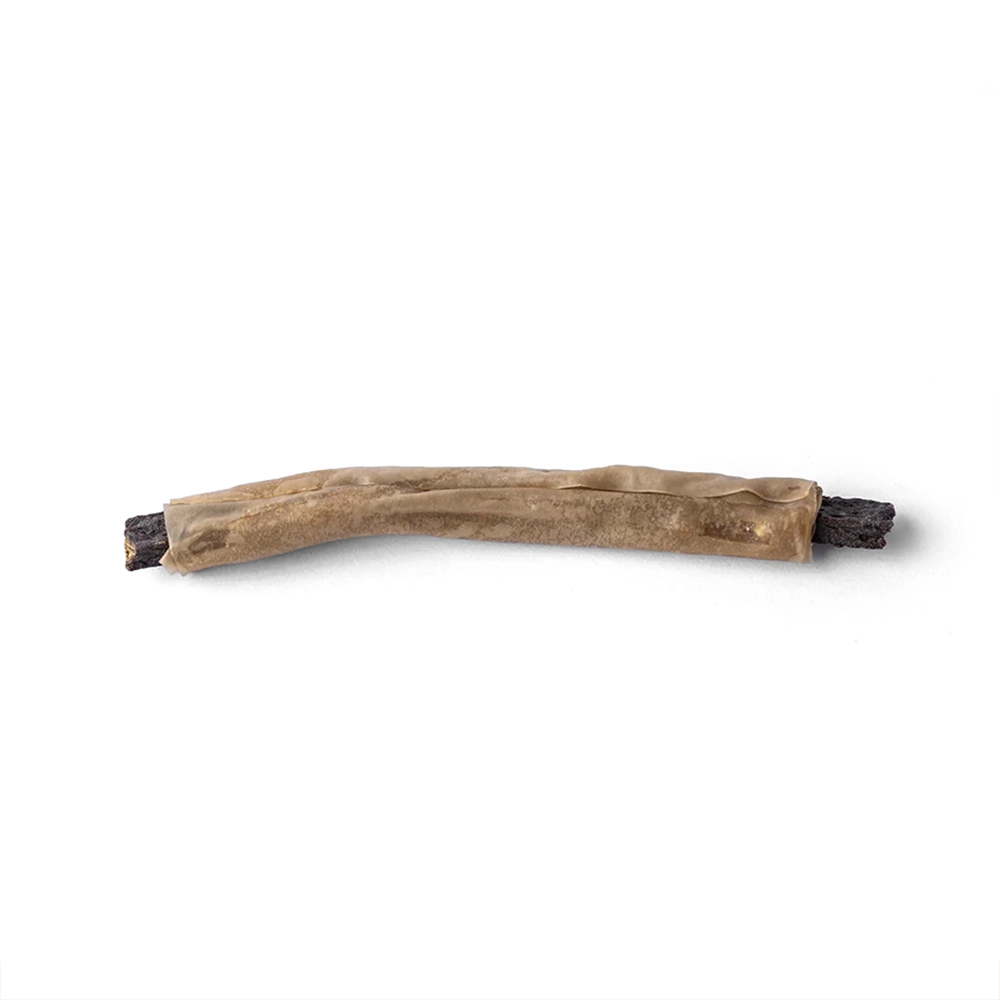 Kero chewing bones reindeer steak - 2