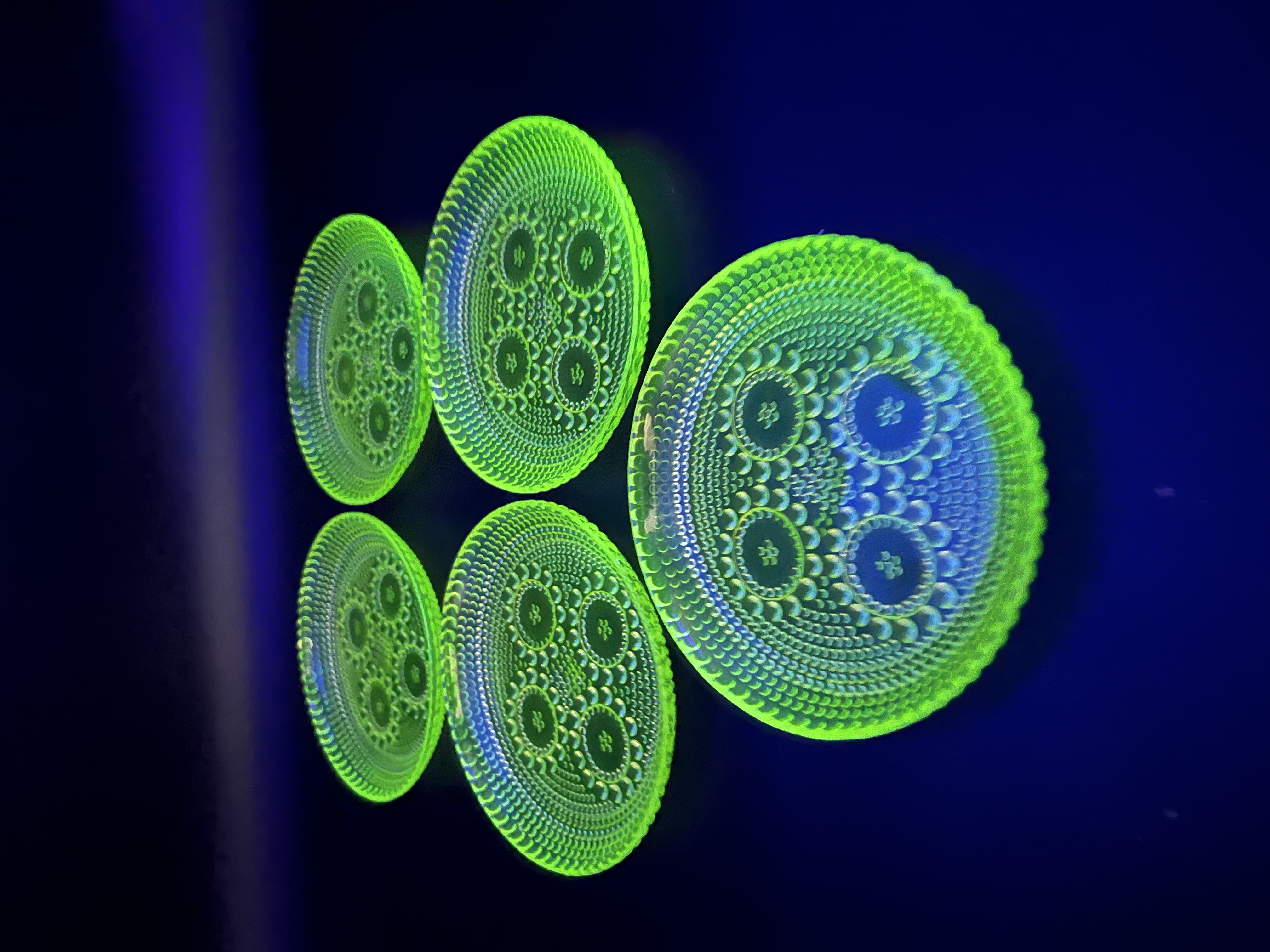 骨董 時代ガラス フィンランド グラッポニア グラス コップ ウラン1客