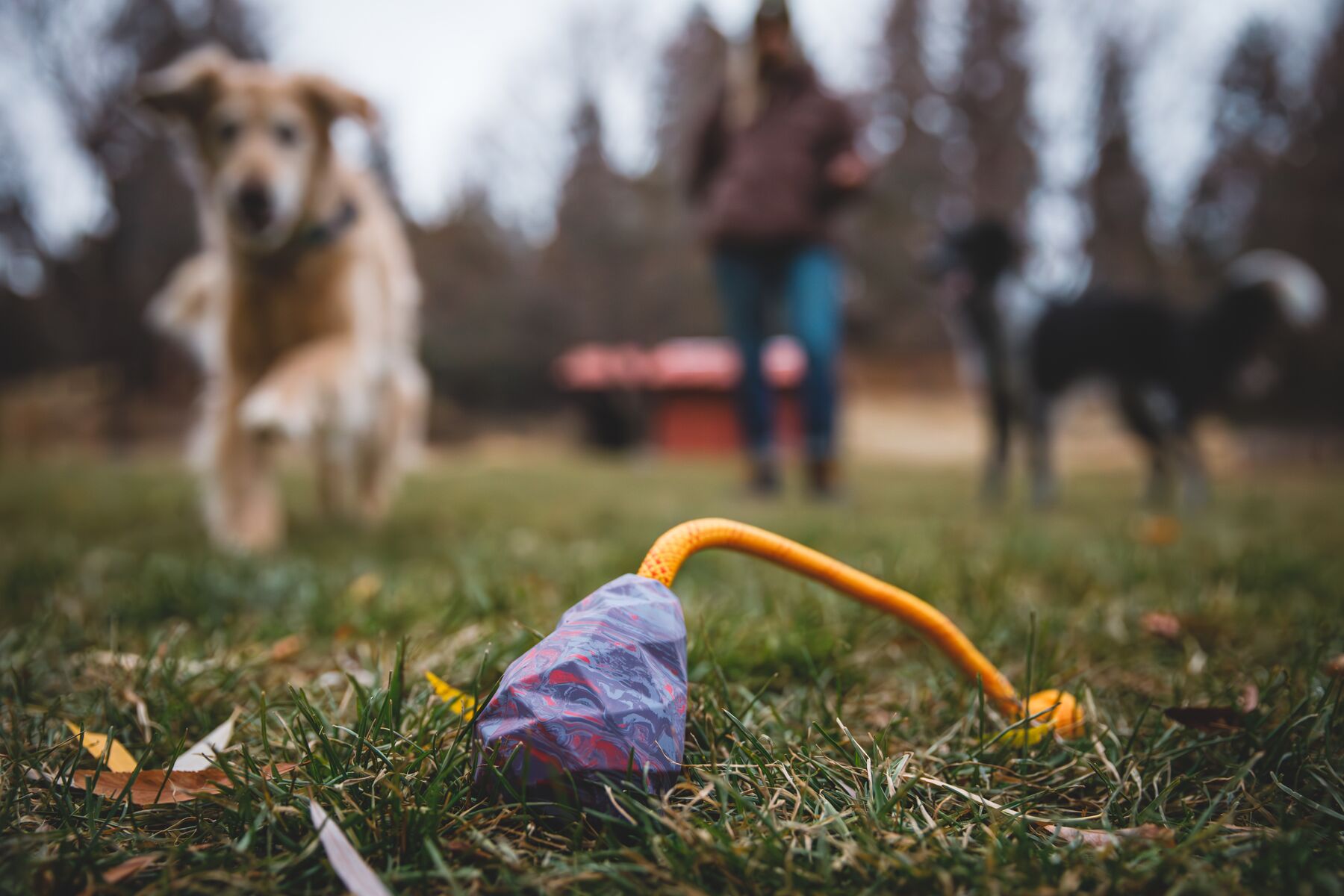 Ruffwear Huck-a-Cone Dog Toy - Purple Orchid - Durable