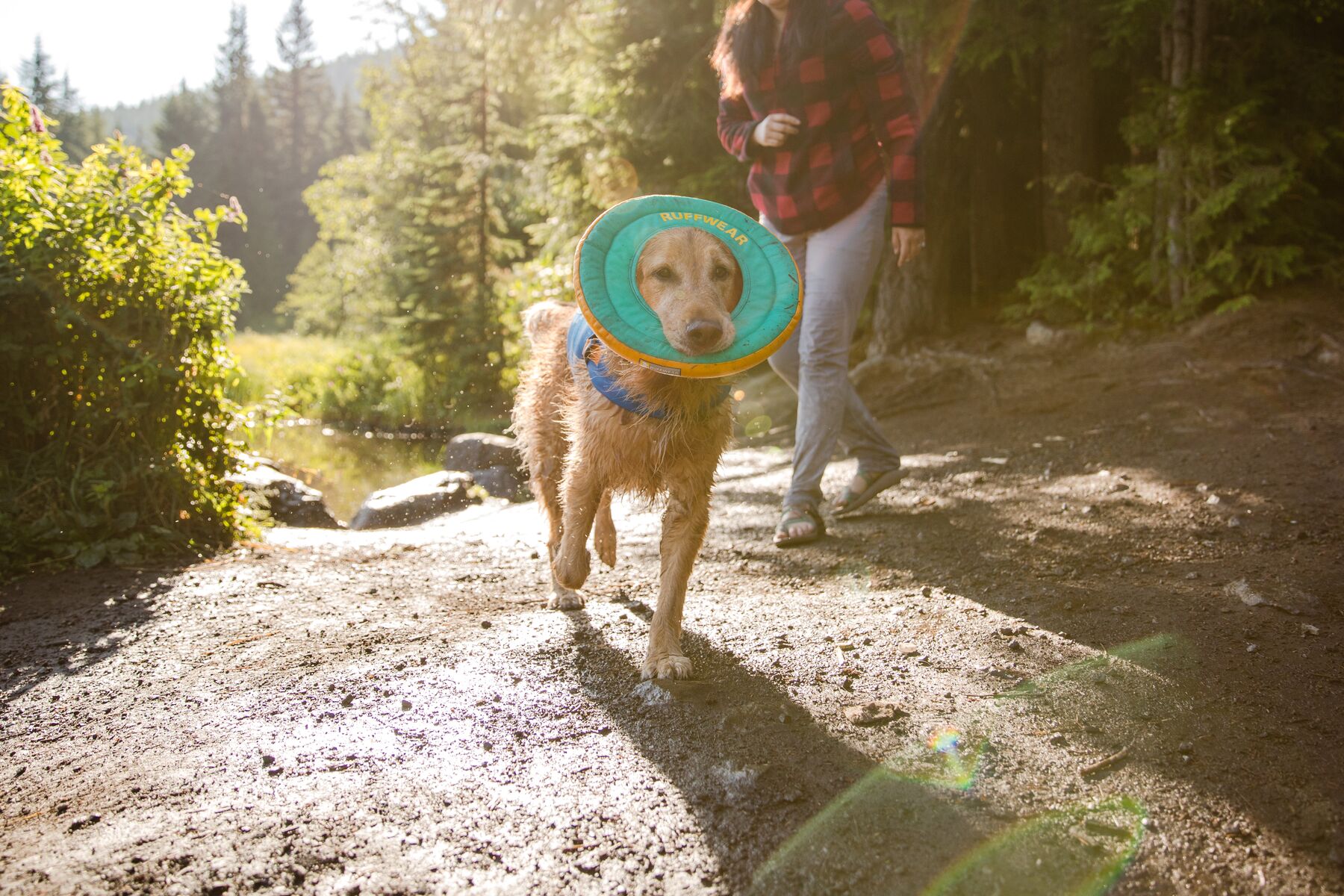 Ruffwear Hydro Plane Floating Dog Toy – Biolumin Blue - Fetch