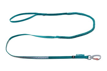 Non-stop Touring Bungee Leash 2 m, Teal