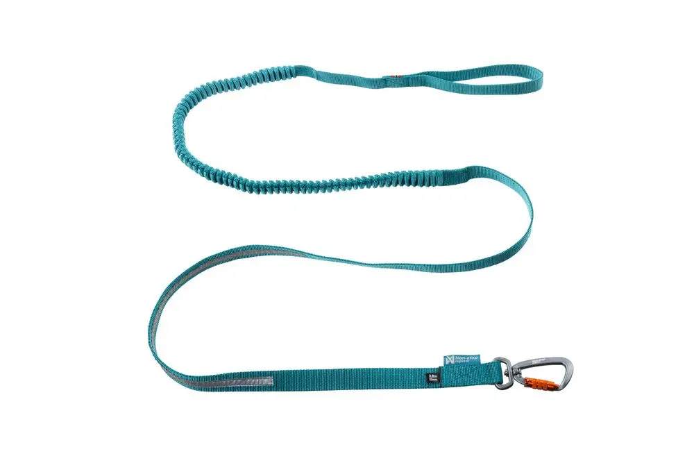 Non-stop Touring Bungee Leash 2 m, Teal - 2