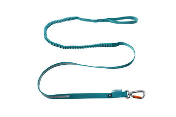 Non-stop Touring Bungee Leash 2 m, Teal