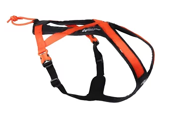Non-stop Rush Dragsele, Orange