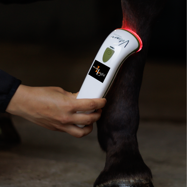 SILENT Photizo Vetcare LED-ljusterapi/LED-LLLT  - 11