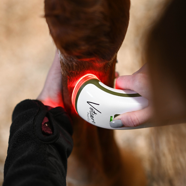 SILENT Photizo Vetcare LED-ljusterapi/LED-LLLT  - 5