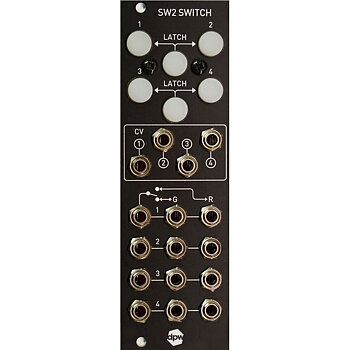 DPW Design Switch SW-2
