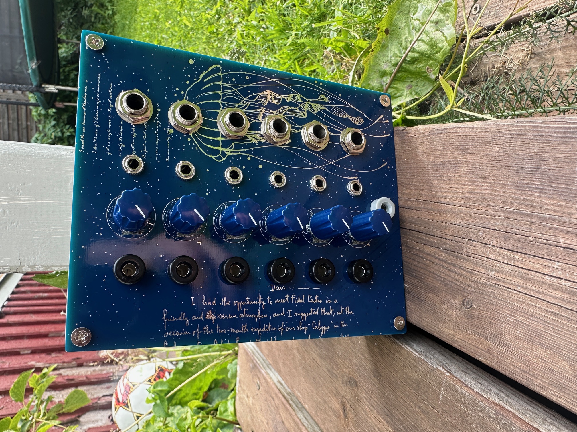 Djupviks Elektronik DE-1 Format Jumbler - 2