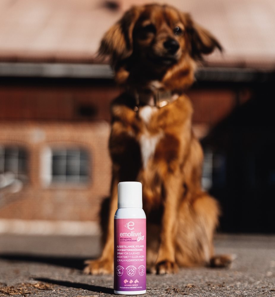 Emollivet SPOT Soothing Spray for Itch Relief – 100ml - Quick-drying