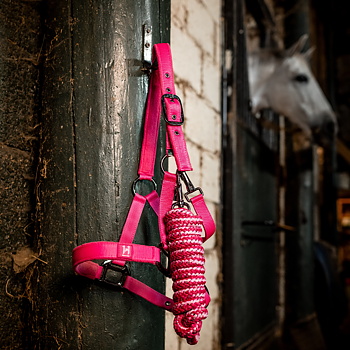 HORSEWARE NEWMARKET HEADCOLLAR &  LEADROPE