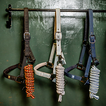 HORSEWARE NEWMARKET HEADCOLLAR &  LEADROPE
